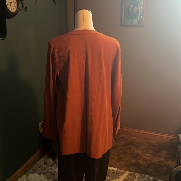 Tunic - Picture 2 of 4